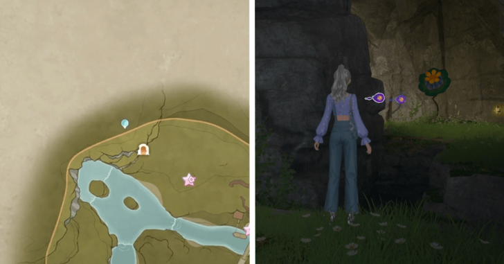 Wishing Woods 126-127