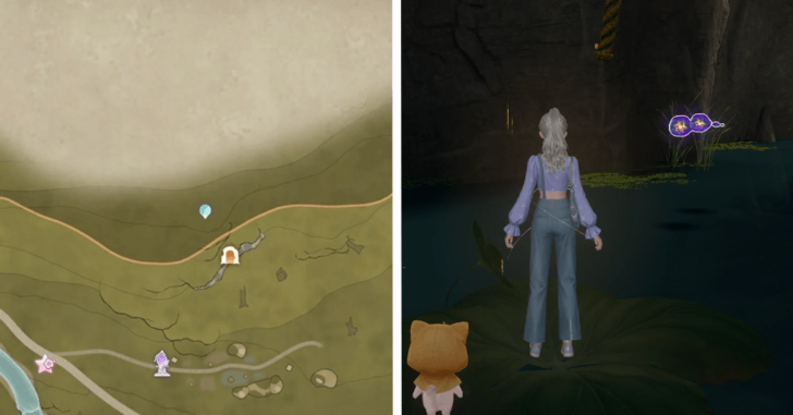 Wishing Woods 103-104