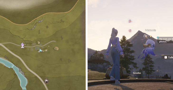 Wishing Woods 99-100