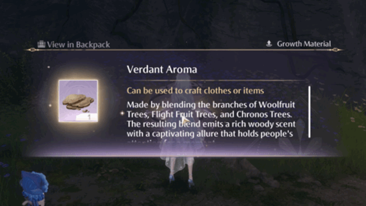 Jump to the Last Platform and Open the Chest