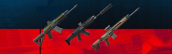 Ballistic Assault Rifles