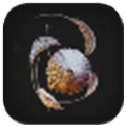 Broken Rock Artifact