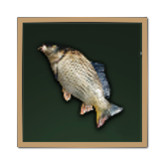 Solisium Carp Icon