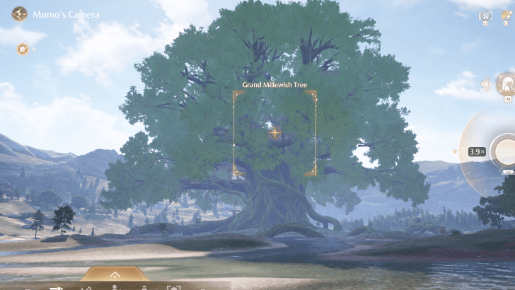 Grand Millewish Tree Photo Angle