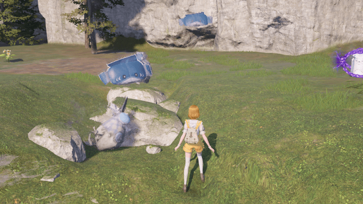 Bitey Bag Wishing Woods Overworld Location