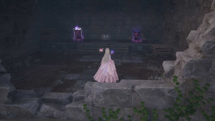 Radical Octopack Wishing Woods Overworld Location