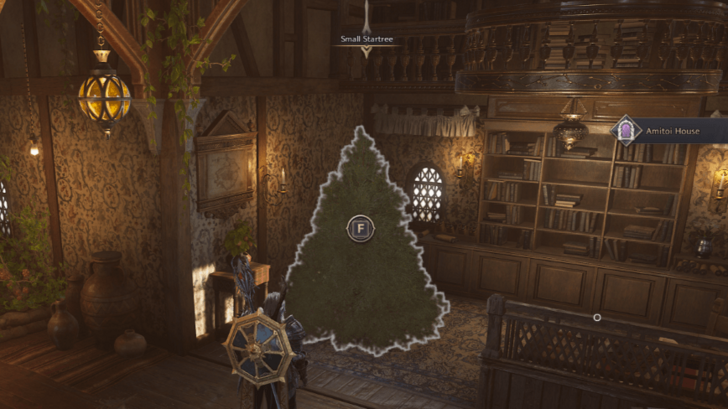 Small Tree in Amitoi House