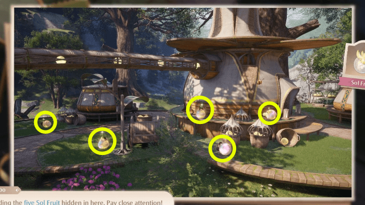 Photo Investigation - Find Five Sol Fruit