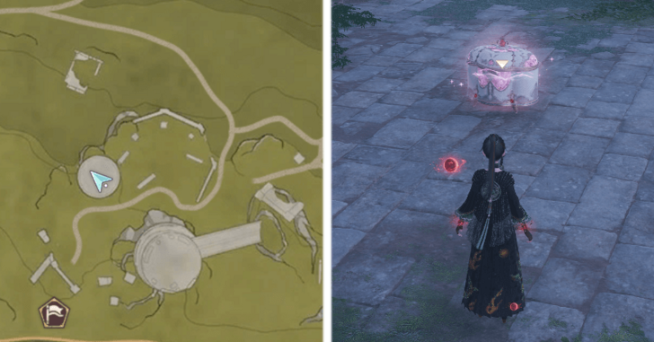 Shaky Branch Chest Location