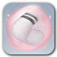 Longstocking Wool Essence