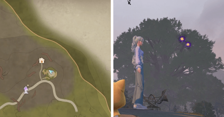 Wishing Woods Dew 203-204