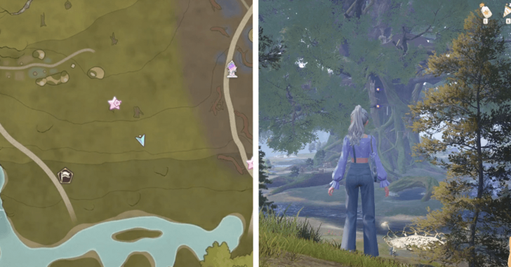 Wishing Woods Dew 194-195