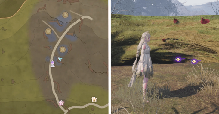 Wishing Woods Dew 165-166