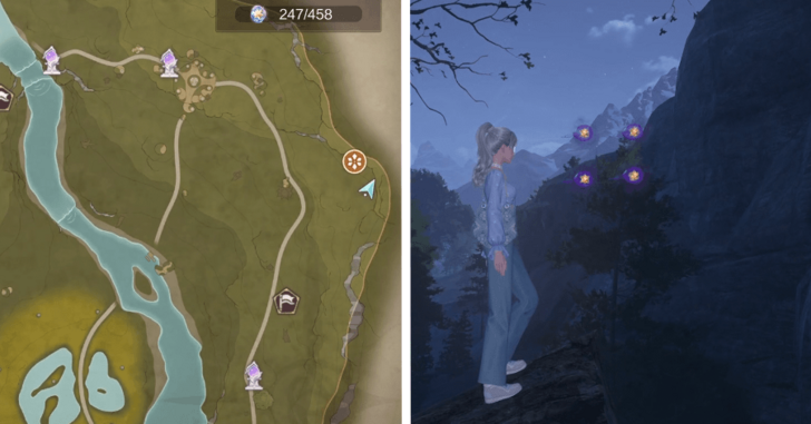 Wishing Woods Dew 248-251