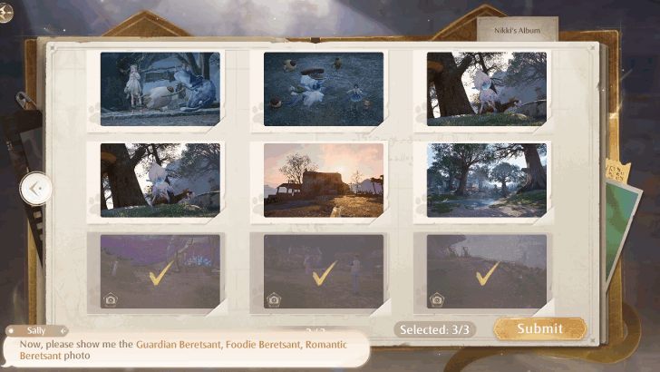 Show the Photos of the Contestant Beretsants to Sally