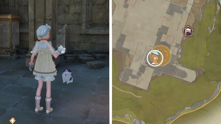 Shirtcat Fluff Location