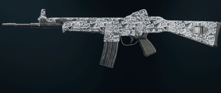 Black Ops 6 - SR Collector Model L Camo