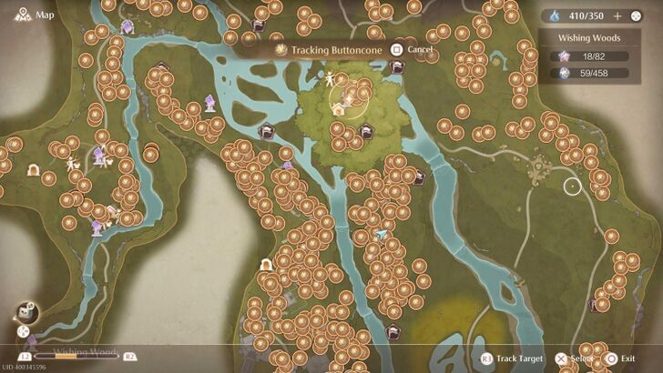 Buttoncone Map Location