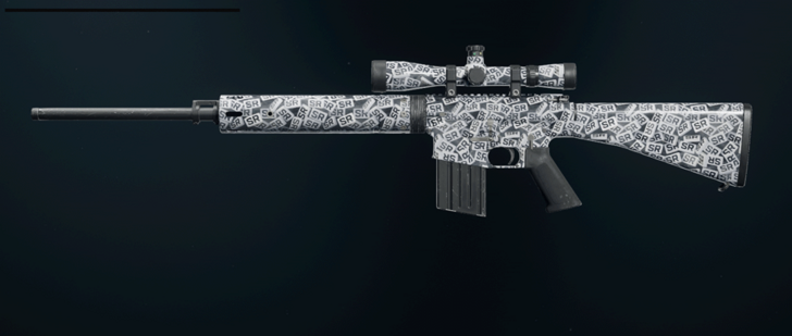 Black Ops 6 - SR Collector DM-10 Camo