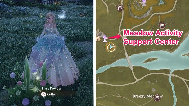 Hare Powder Location