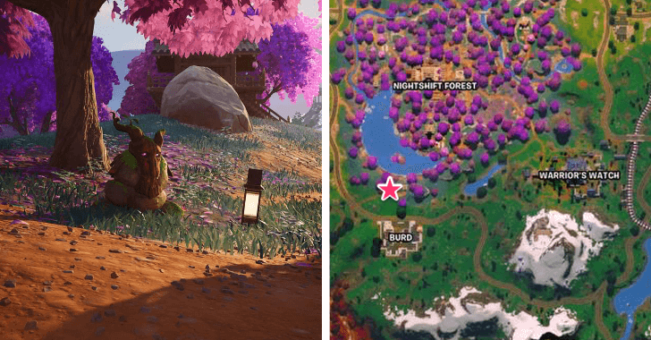 Earth Sprite Nightshift Forest