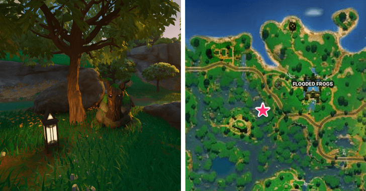 Earth Sprite West Flooded Frogs