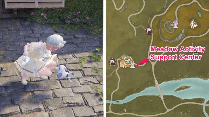 Ambird Feather Location