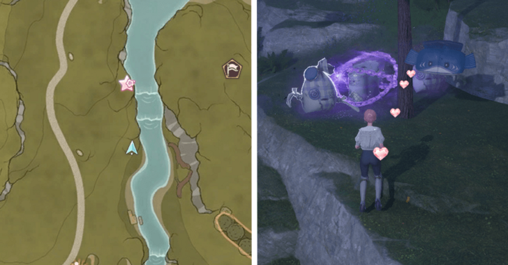 Treasure Chest Wishing Woods 11