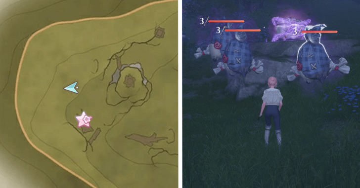 Treasure Chest Wishing Woods 09