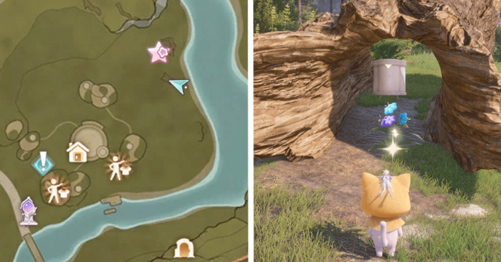 Treasure Chest Wishing Woods 07