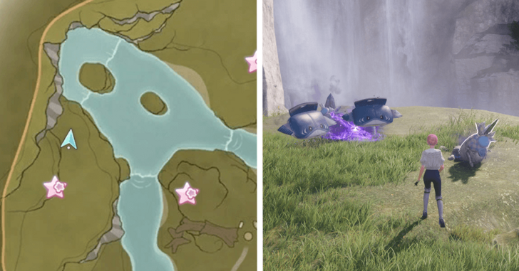 Treasure Chest Wishing Woods 12