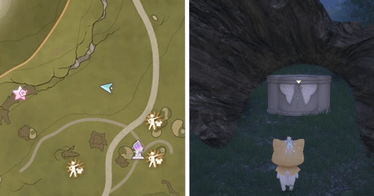 Treasure Chest Wishing Woods 10