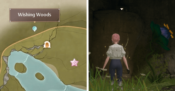 Treasure Chest Wishing Woods 55