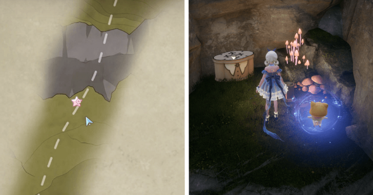 Treasure Chest Wishing Woods 53