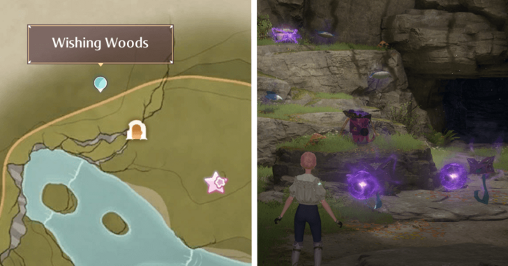 Treasure Chest Wishing Woods 56