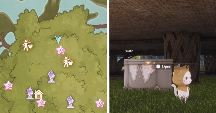 Treasure Chest Wishing Woods 30