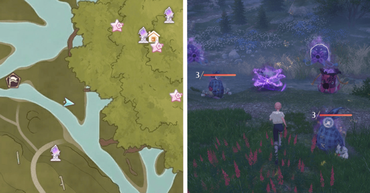 Treasure Chest Wishing Woods 45