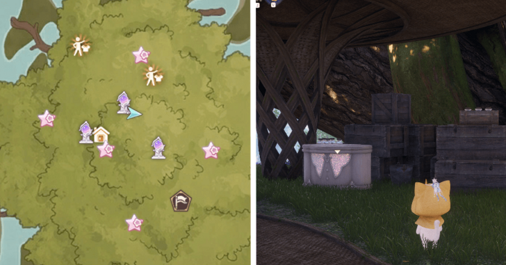 Treasure Chest Wishing Woods 31