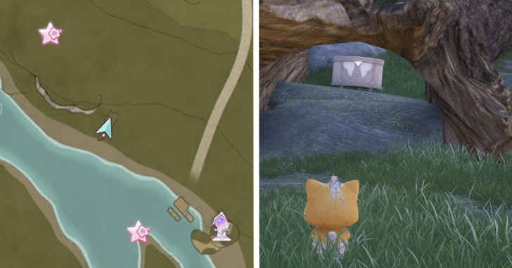 Treasure Chest Wishing Woods 60