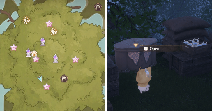 Treasure Chest Wishing Woods 35