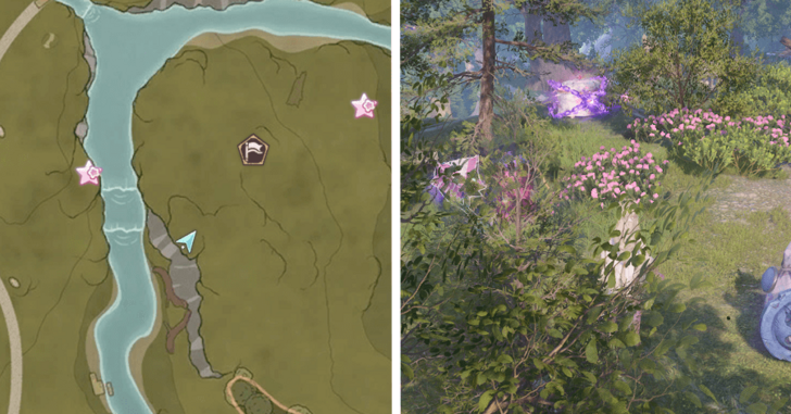 Treasure Chest Wishing Woods 47