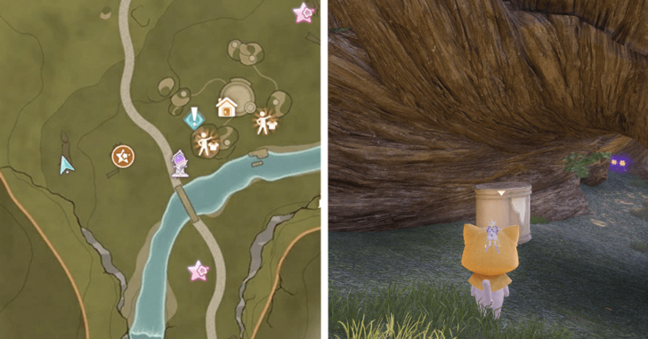 Treasure Chest Wishing Woods 50