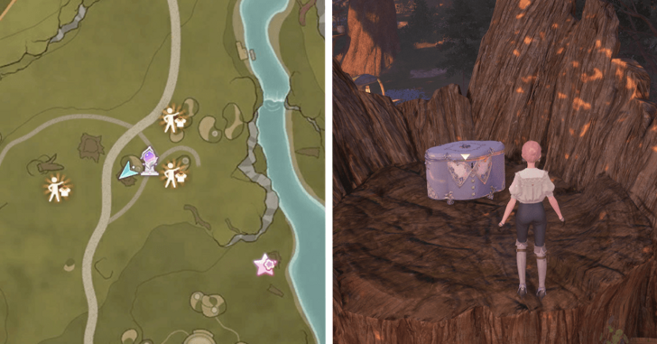 Treasure Chest Wishing Woods 49