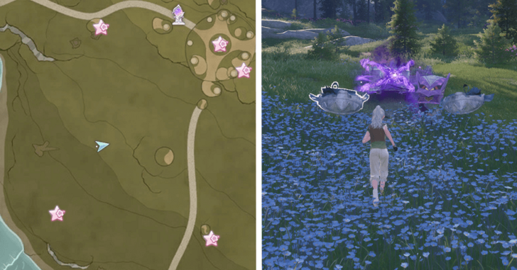 Treasure Chest Wishing Woods 61