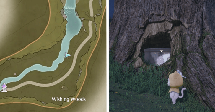 Treasure Chest Wishing Woods 52