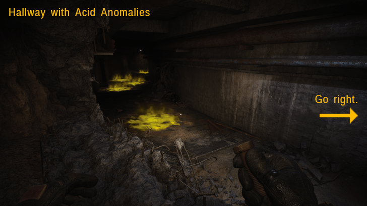 Hallway with Acid Anomalies