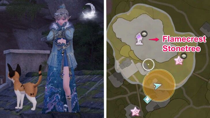 Bowtie Fluff Location