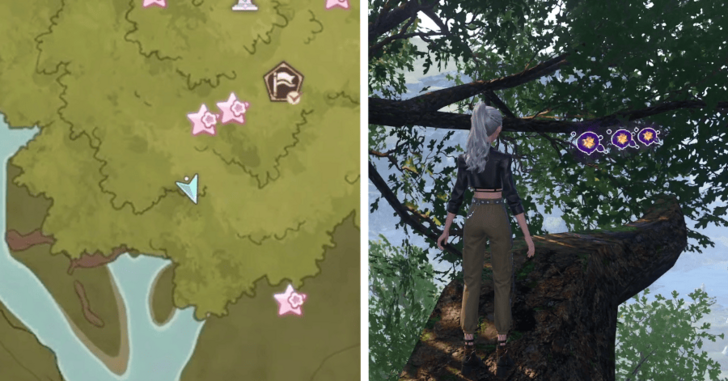 Dew of Inspiration - Wishing Woods - 456-458