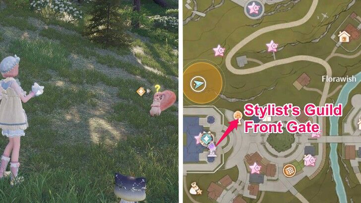 Cushion Fluff Location