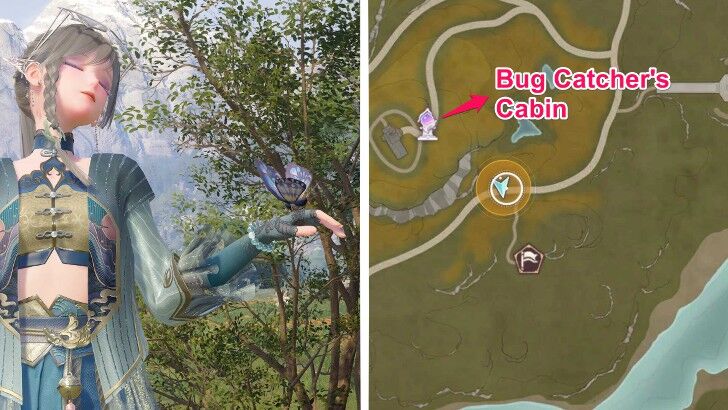 Pearl Wings Location